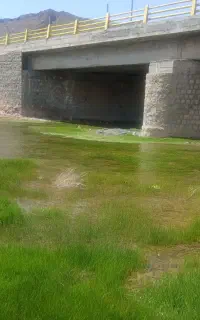 باغ اسبار ،کارگر حرفه ای