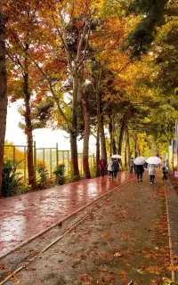 تمرینات هوازی