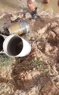 نیازمند کارگر پرورش ماهی