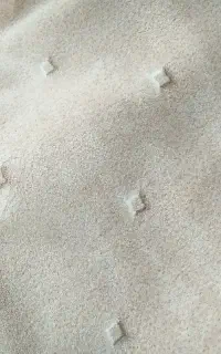 پالازموکت