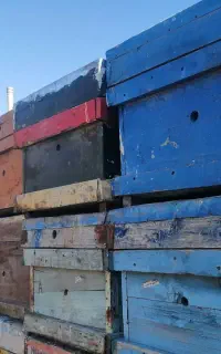 کندوی زنبور عسل