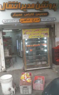 اجاره مغازه مرغ فروشی و پروتیین