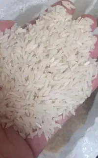 برنج دم سیاه