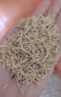 پوشال برنج سبوس برنج خاسوج