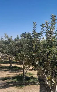 نیاز پولدارم