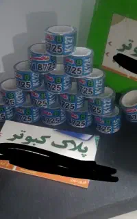 پلاک کبوتر سایز شماره دو جوجه کفتر پسته ای