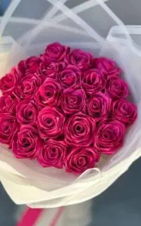 گل بده، شادی ببر دسته‌گل ربانی