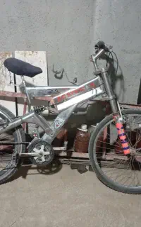 دوچرخه