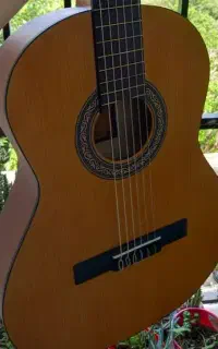 گیتار پارسی