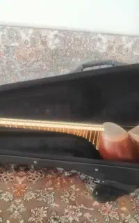 تار استاد آئینی دو مهر