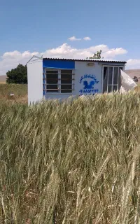 کانکس نو نو ۶متری