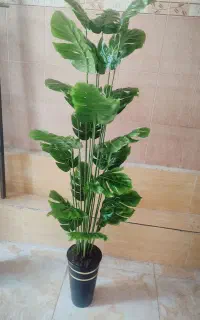 درختچه مصنوعی اقتصادی و زیبا