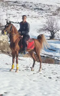 سیلمی سهیل پدرآرش سین