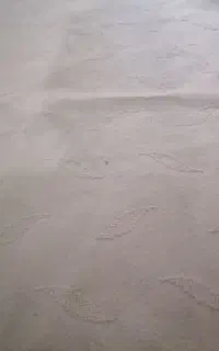 موکت