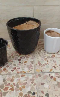 چند عدد گلدان