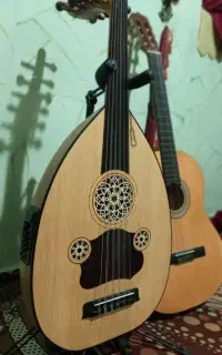 عود الکترو اکوستیک