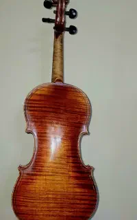 ویولن