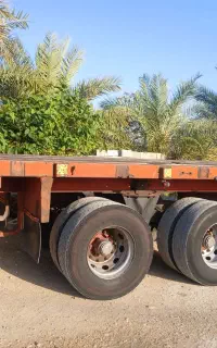 کفی کالباس فول بزرگ