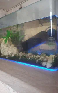 آکواریوم درحدنو