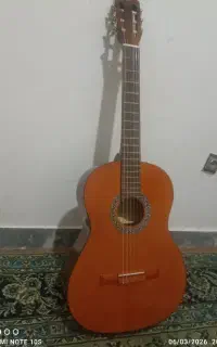 گیتار نو با کیف