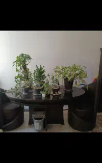 میز ناهار خوری