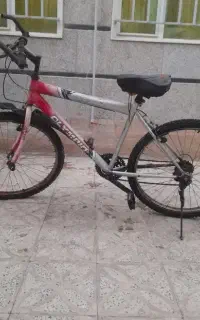 گمشده