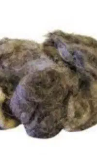 پشم
