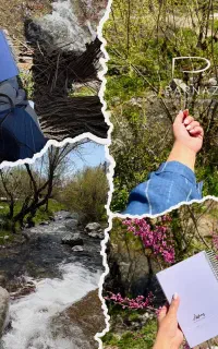 کار در منزل آموزش ادمینی