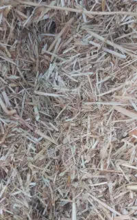 خرمن کاه گندم