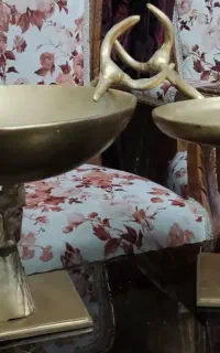 گوزن کاسه ای ‌شاخدار