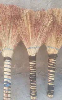 جارو، چیت و دیک روحی