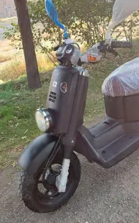 YAMAHA (VOX) (JAPANI)