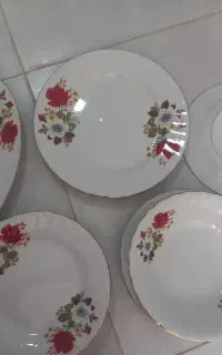 چینی گل قرمز