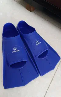 فین شنا