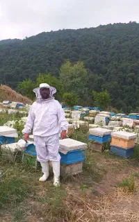 عسل،گرده،بره موم،ژل رویال