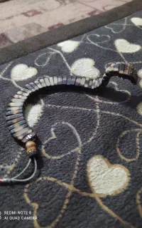 تسبیح هسته خرما