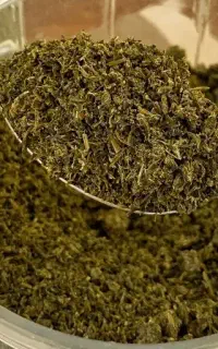 سبزی قرمه سبزی تفت داده