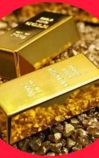 هدیه رایگان از طرقی بلو و بلو جونیور