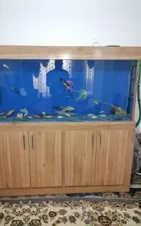 آکواریوم باتمام وسایل