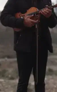 گروه موزیک  ‌ساز سنتی ،خواننده،ارگ،ویالون،
