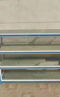 ویترین