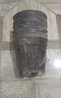 گلدان