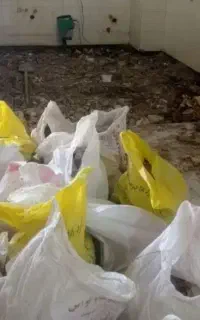 کارگر ساده هرکاری باشه