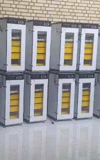 دستگاه جوجه کشی)11 با دوامـ  با کیــفییت&