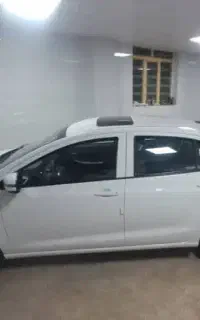 شاهین gسانروف دار
