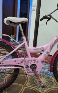 دوچرخه 20