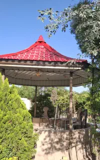 سقف و شیروانی