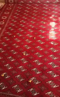 قالی ترکمنی