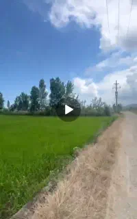 بیجار