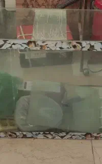 آکواریوم با تمام لوازم جانبی